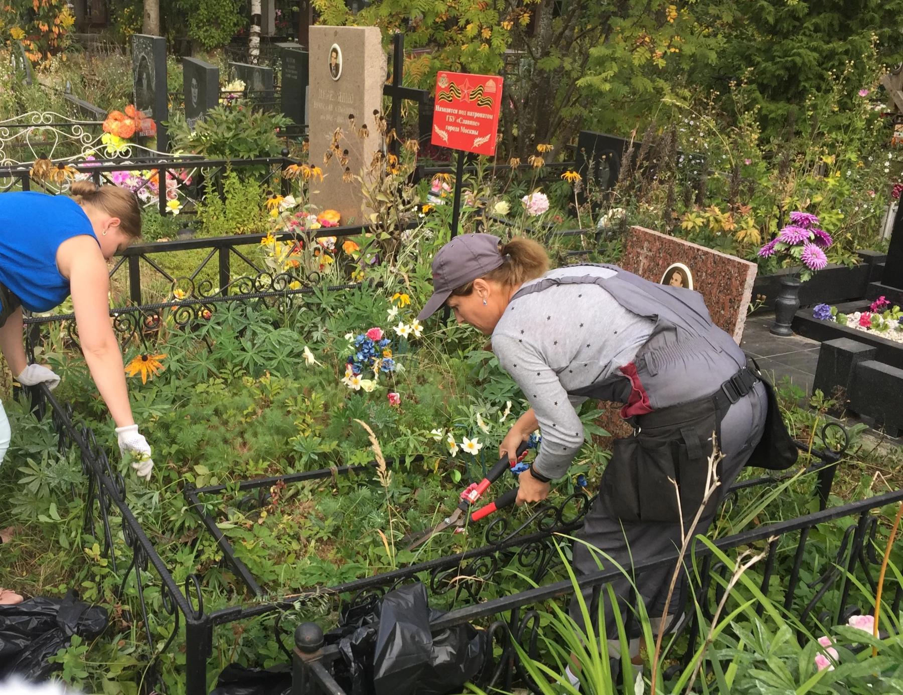 Прополка сорняков